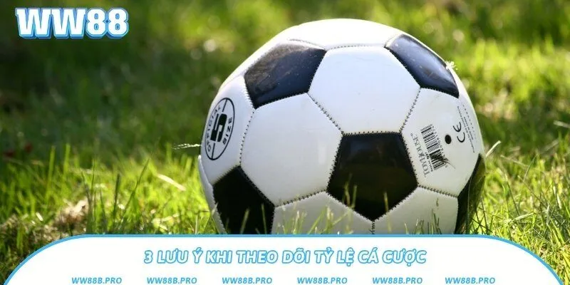 Những thông tin cần biết khi theo dõi tỷ lệ cược bóng đá