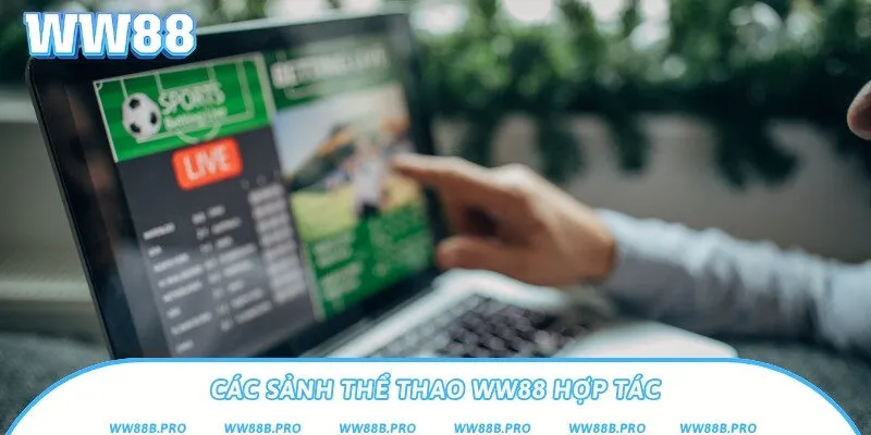 3 sảnh thể thao mà nhà cái WW88 hợp tác