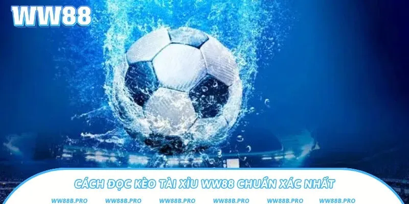 Cách đọc kèo chuẩn cho người mới