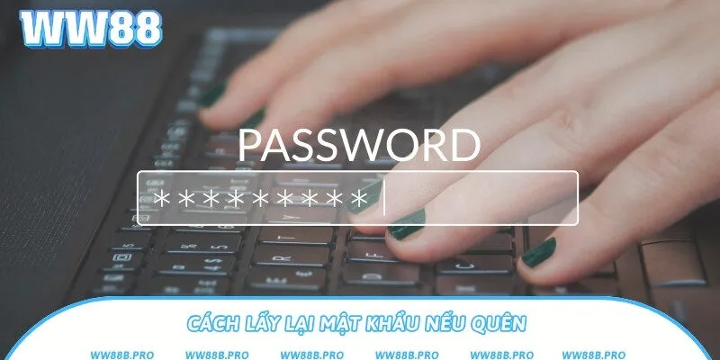 Hướng dẫn cách lấy lại mật khẩu nếu bạn quên