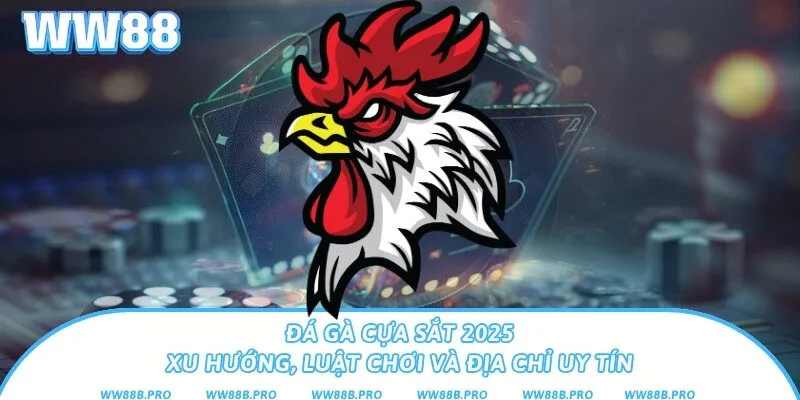 Đá Gà Cựa Sắt Mới Nhất - Xu Hướng, Luật Chơi Đá Gà