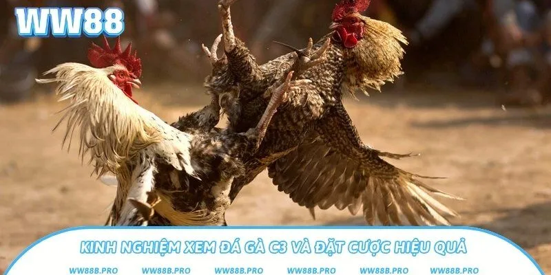 2 kinh nghiệm mà các kê thủ không nói cho bạn biết