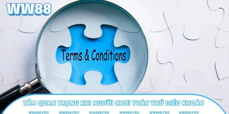 Tầm quan trọng khi người dung tuân thủ đúng chính sách