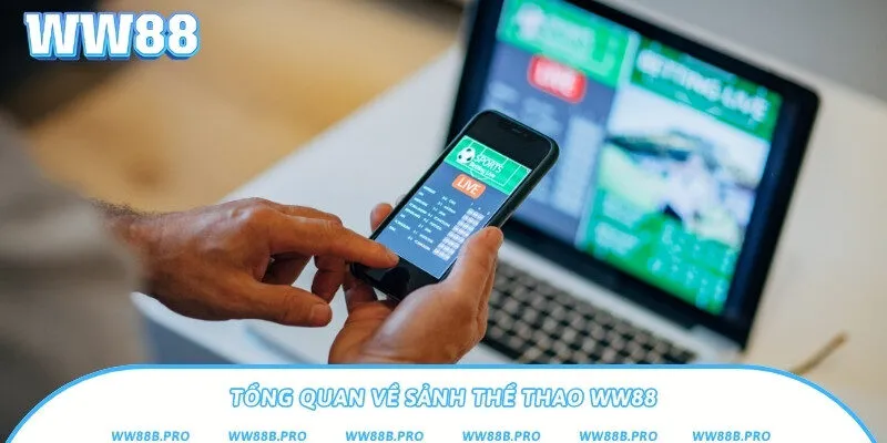 Giới thiệu sảnh thể thao của nhà cái WW88