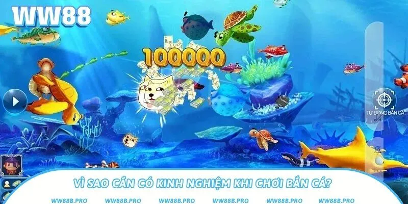 Lý do bạn nên biết kinh nghiệm khi chơi bắn cá đổi thưởng